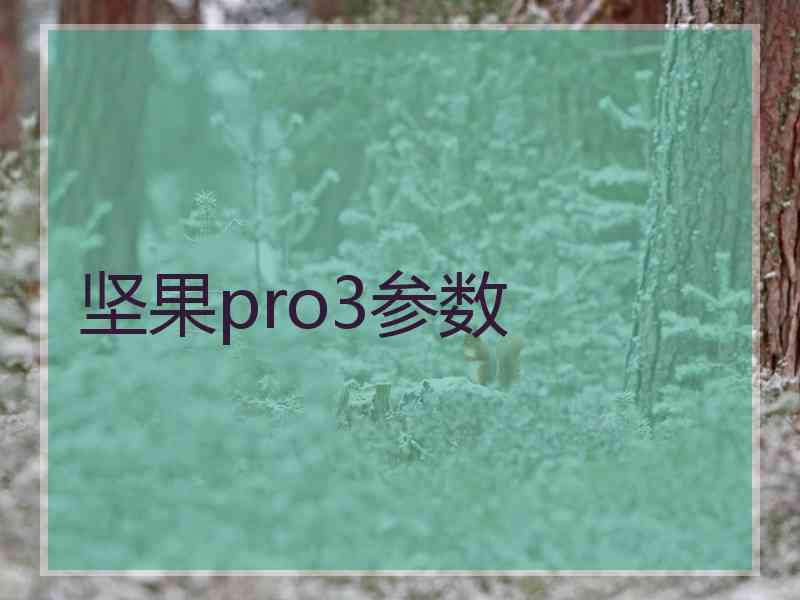 坚果pro3参数