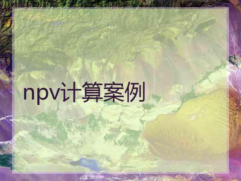 npv计算案例