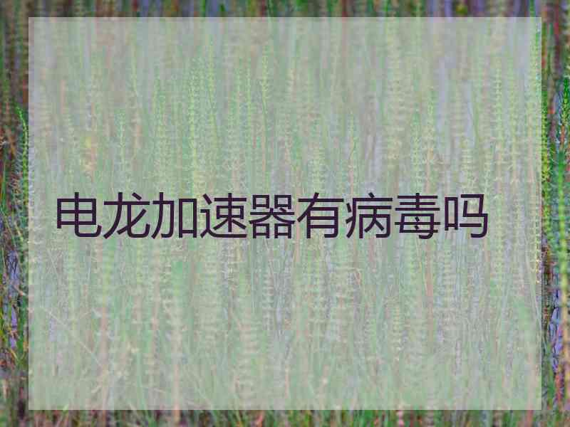 电龙加速器有病毒吗