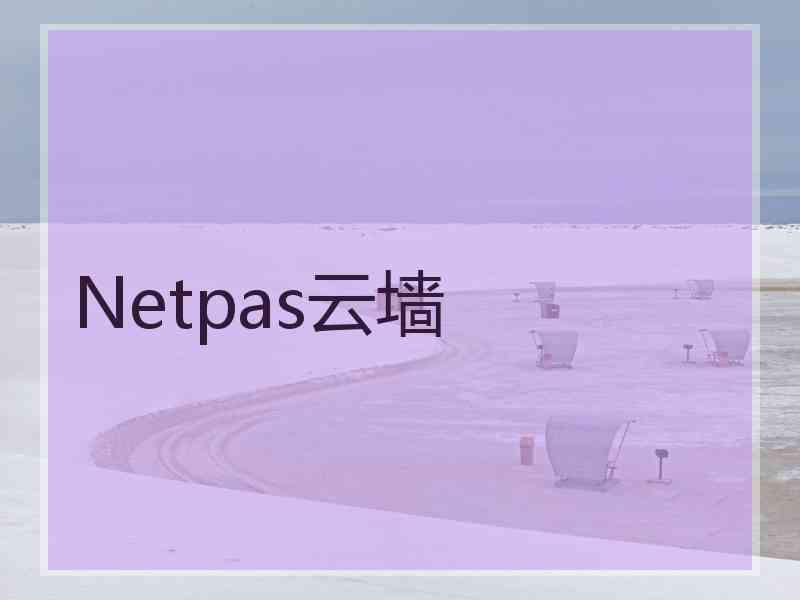 Netpas云墙