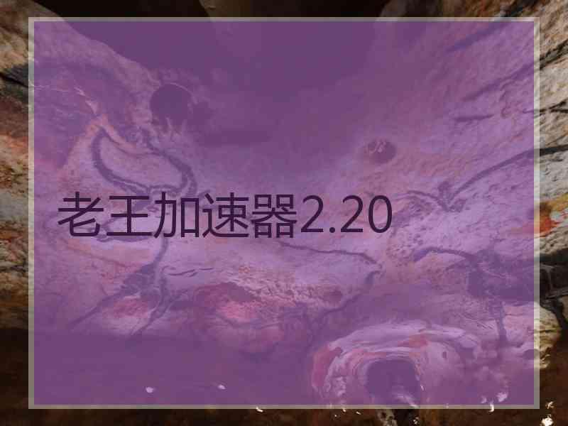 老王加速器2.20