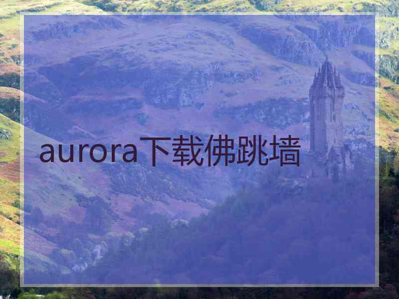 aurora下载佛跳墙