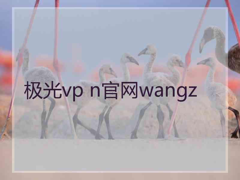极光vp n官网wangz