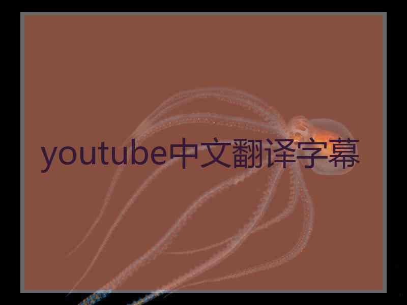 youtube中文翻译字幕