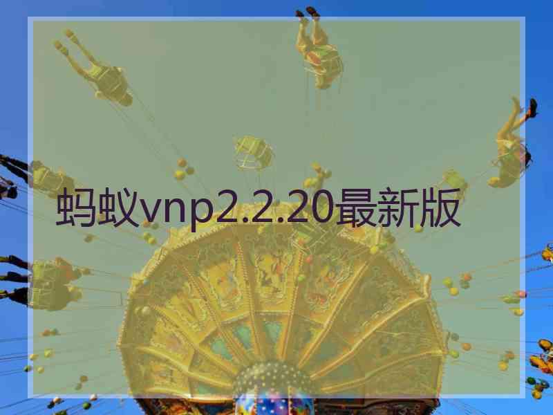 蚂蚁vnp2.2.20最新版