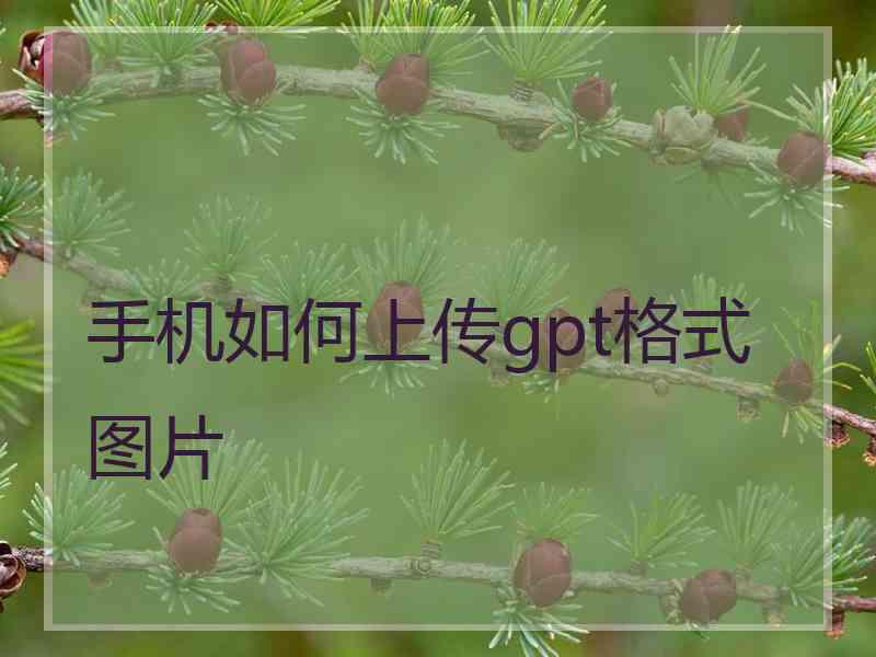 手机如何上传gpt格式图片