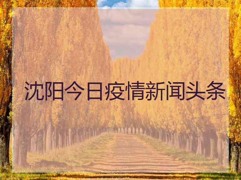 沈阳今日疫情新闻头条