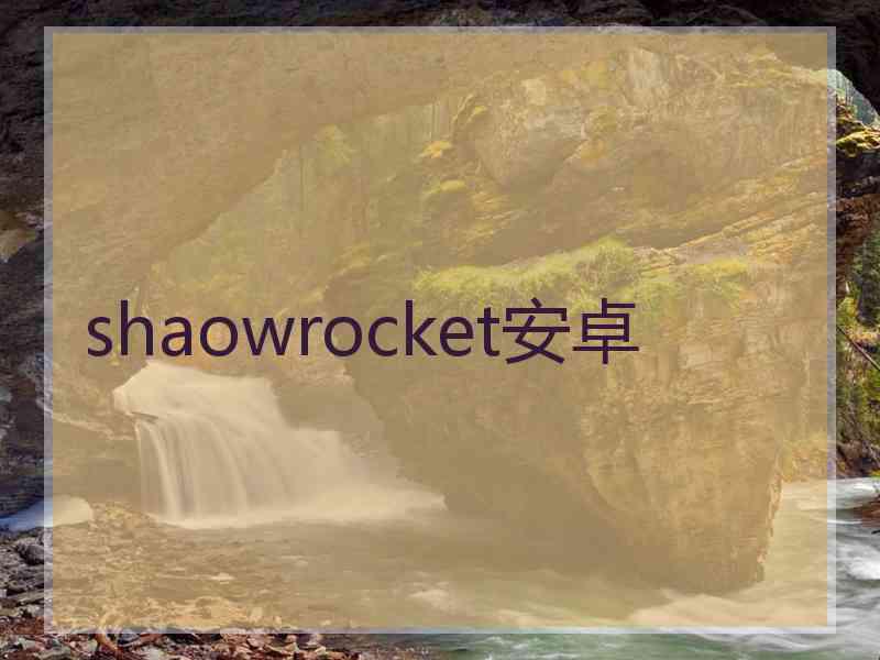 shaowrocket安卓