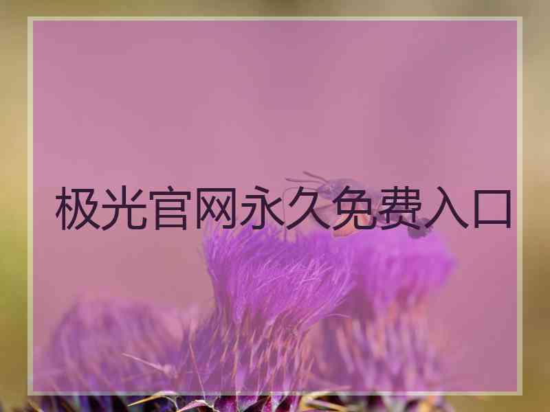 极光官网永久免费入口