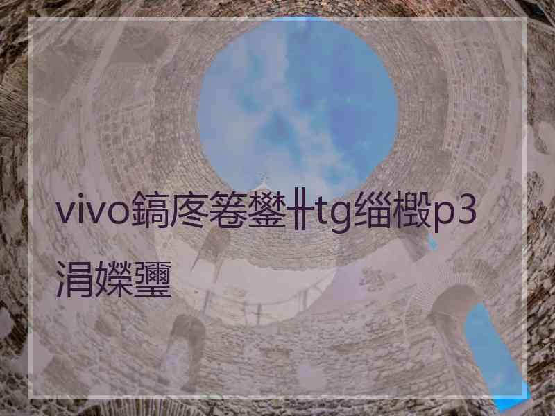 vivo鎬庝箞鐢╫tg缁檓p3涓嬫瓕