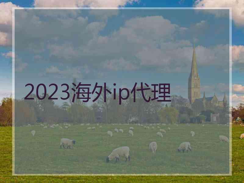 2023海外ip代理