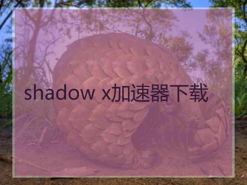 shadow x加速器下载