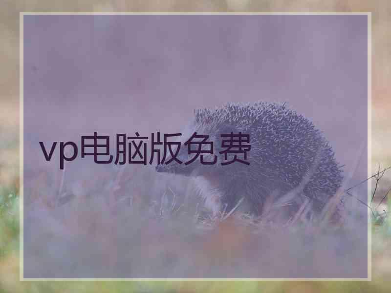 vp电脑版免费