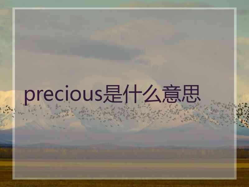 precious是什么意思