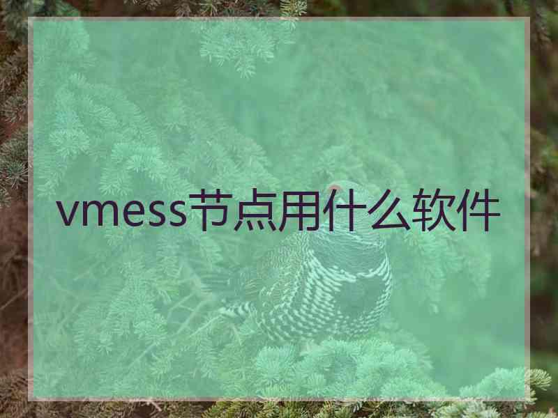 vmess节点用什么软件