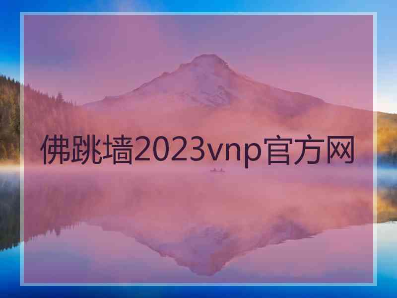 佛跳墙2023vnp官方网