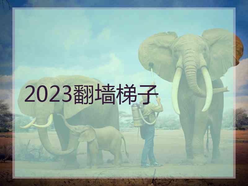 2023翻墙梯子