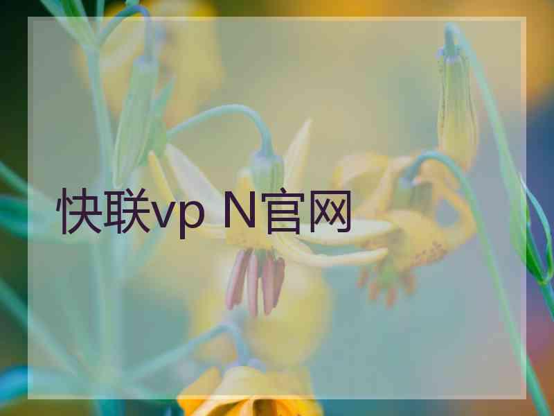 快联vp N官网