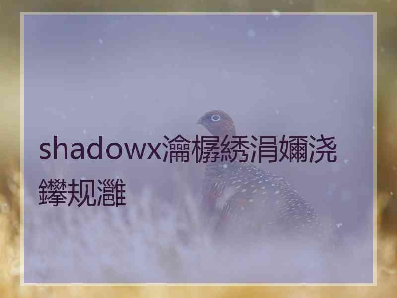 shadowx瀹樼綉涓嬭浇鑻规灉