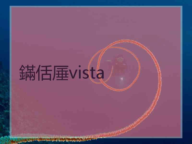 鏋佸厜vista