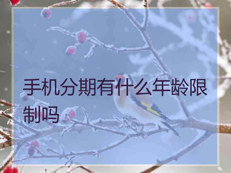 手机分期有什么年龄限制吗