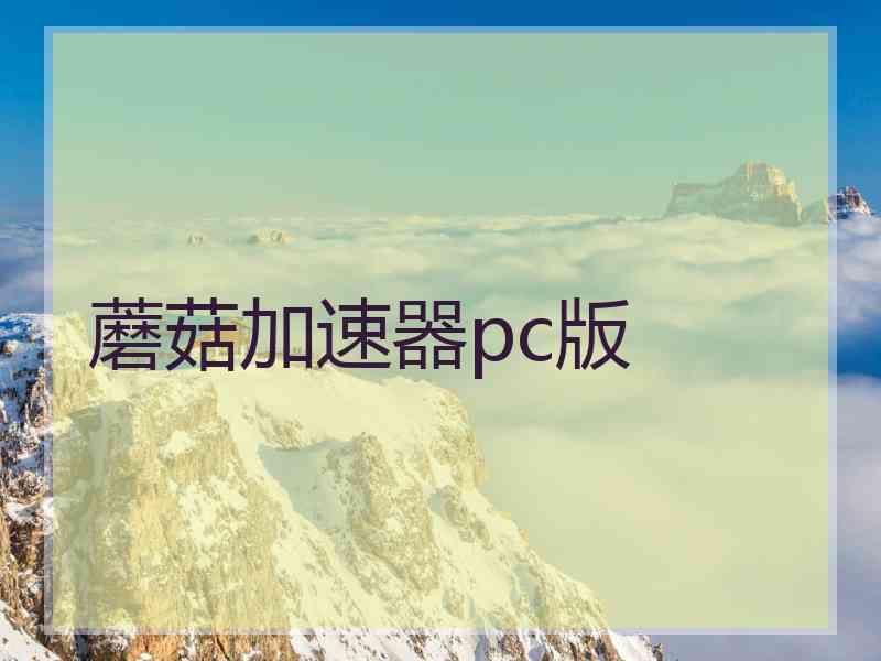 蘑菇加速器pc版