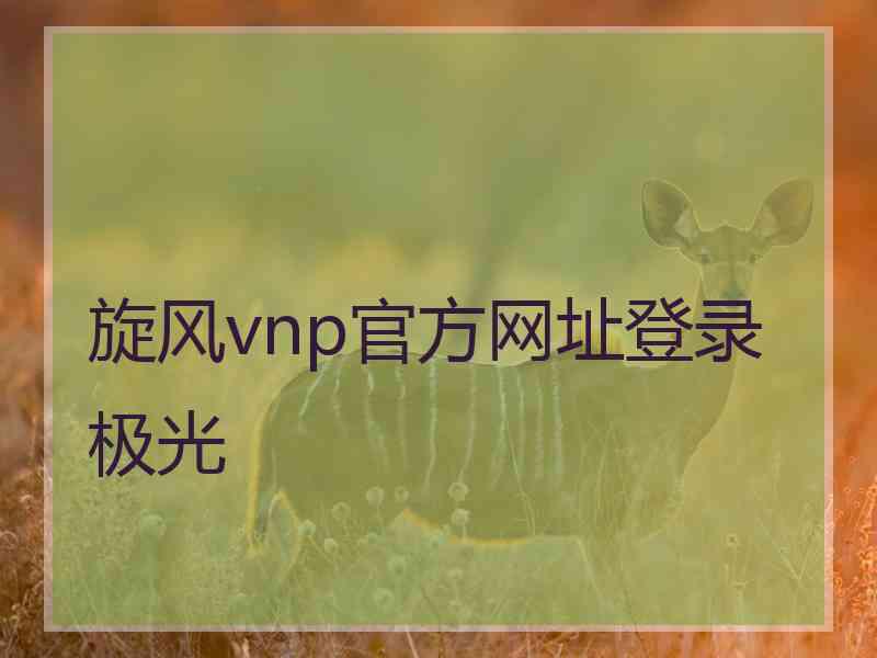 旋风vnp官方网址登录极光