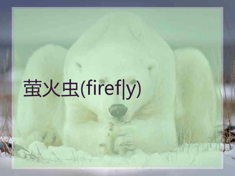 萤火虫(firef|y)