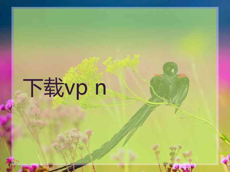 下载vp n