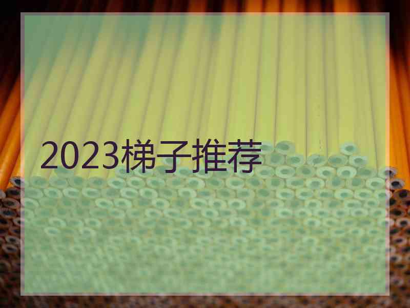 2023梯子推荐