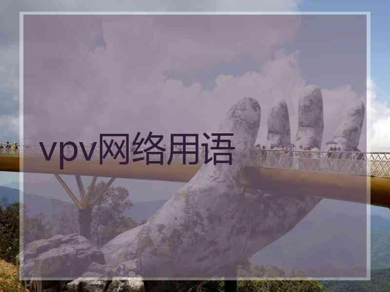 vpv网络用语