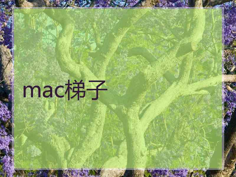 mac梯子