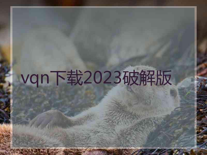 vqn下载2023破解版