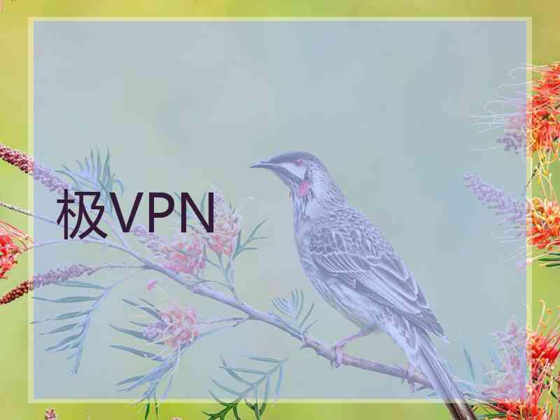 极VPN