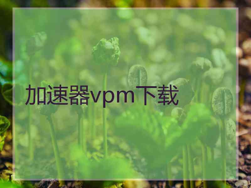 加速器vpm下载