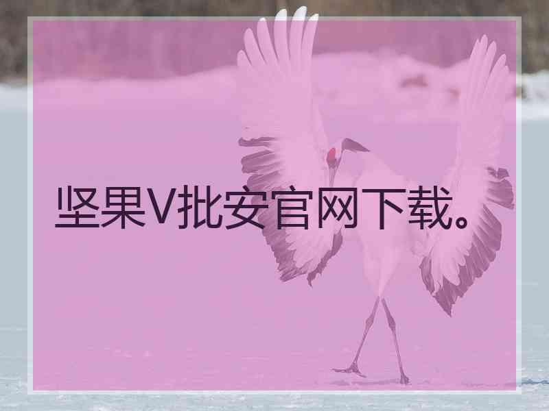 坚果V批安官网下载。