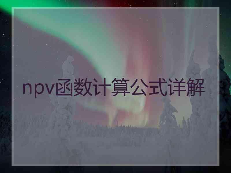 npv函数计算公式详解