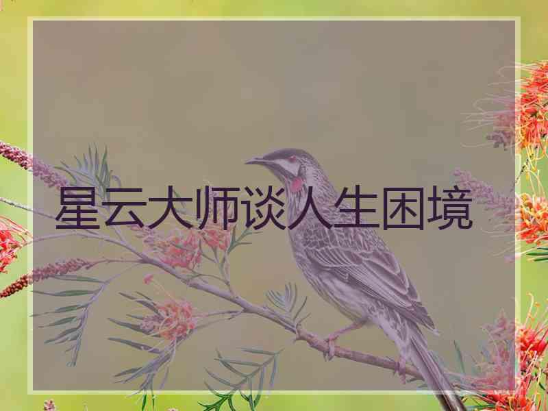 星云大师谈人生困境