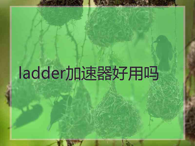 ladder加速器好用吗