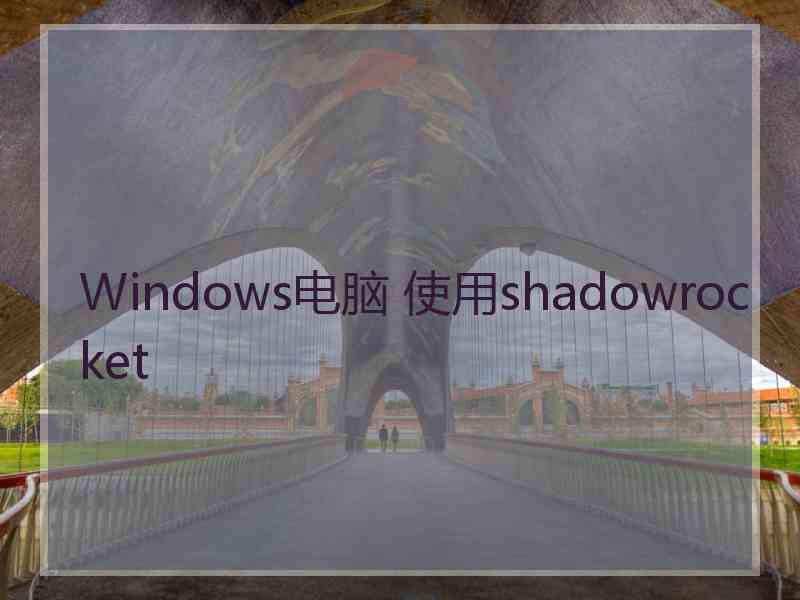 Windows电脑 使用shadowrocket