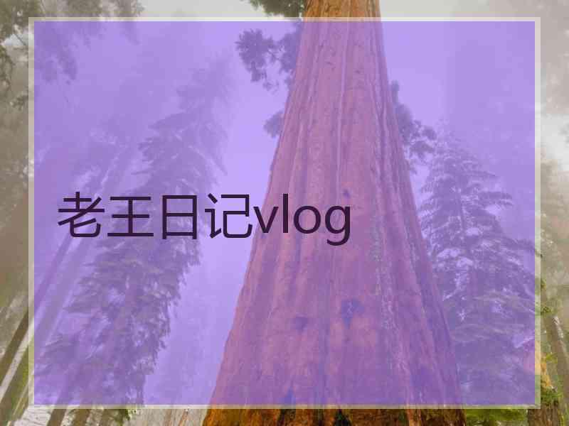 老王日记vlog