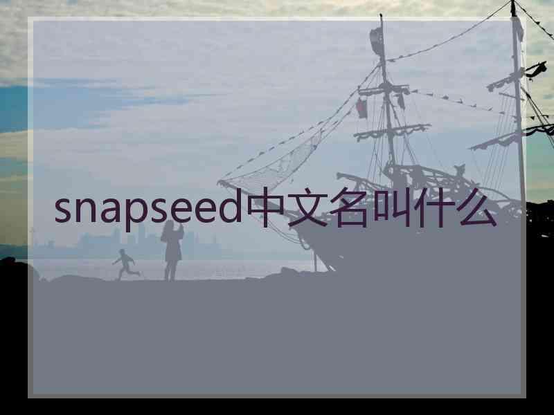 snapseed中文名叫什么