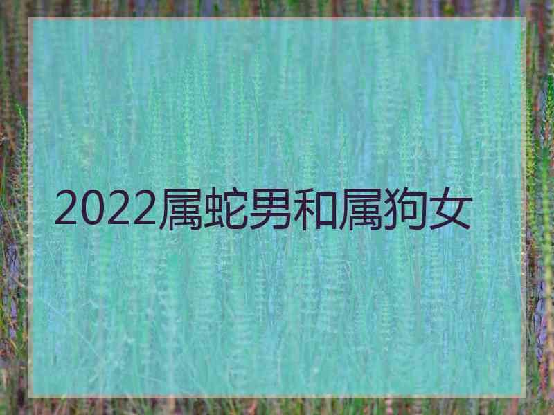 2022属蛇男和属狗女