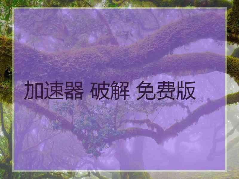 加速器 破解 免费版