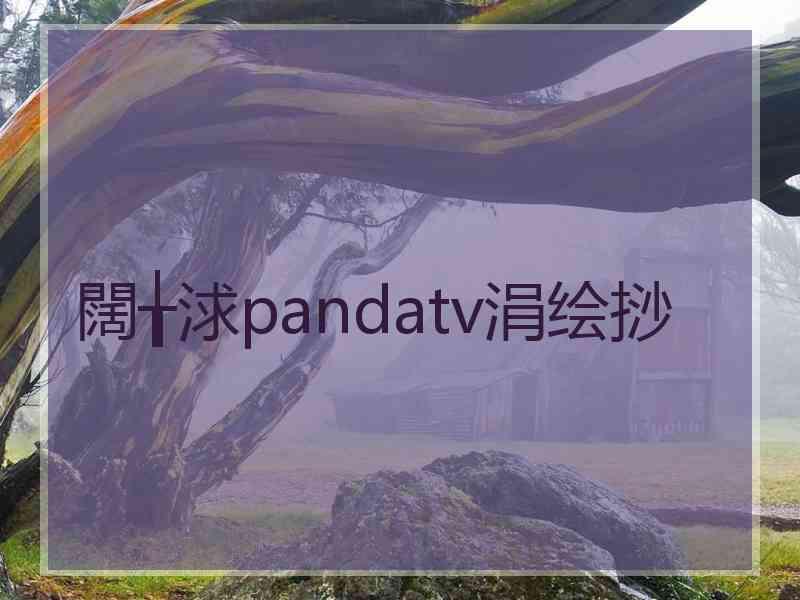 闊╁浗pandatv涓绘挱