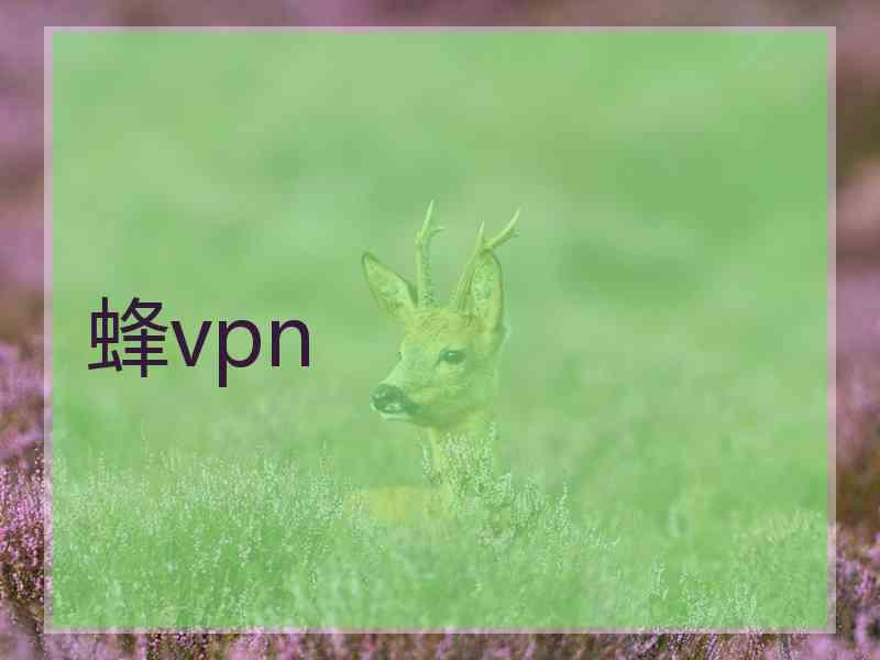 蜂vpn