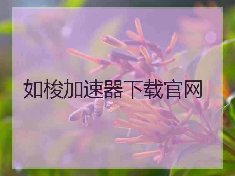 如梭加速器下载官网