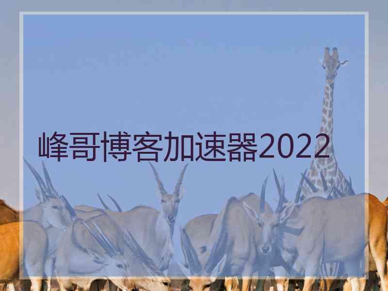 峰哥博客加速器2022