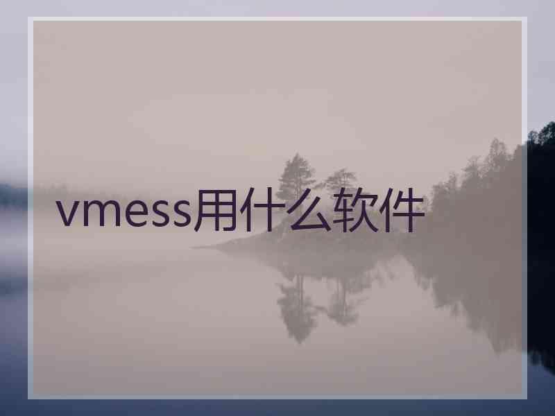 vmess用什么软件