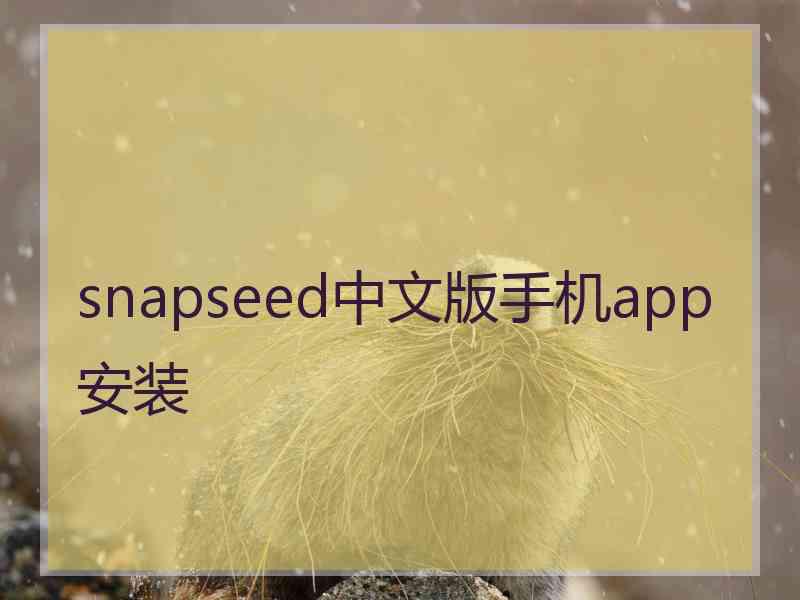 snapseed中文版手机app安装